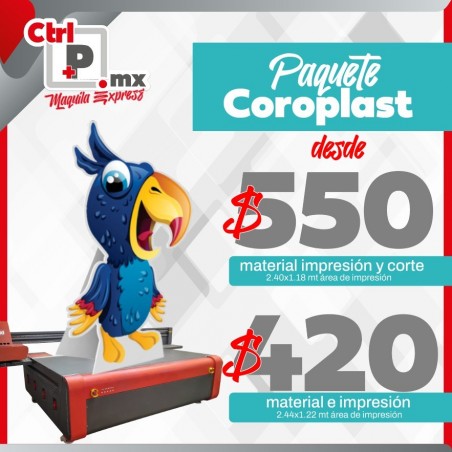 Paquete de Coroplast